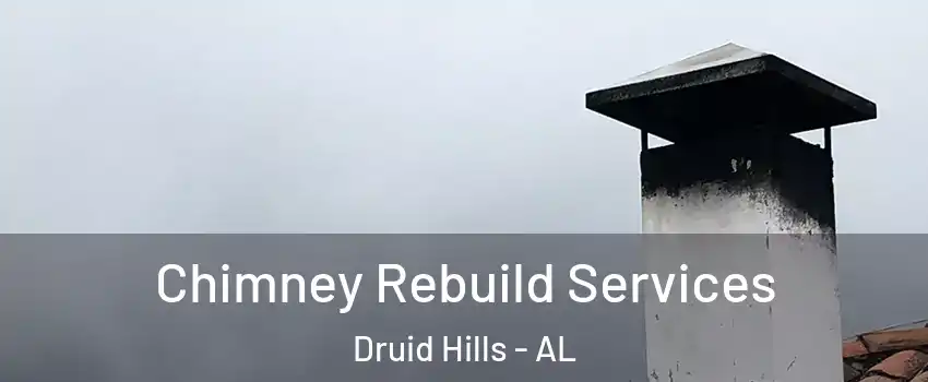 Chimney Rebuild Services Druid Hills - AL