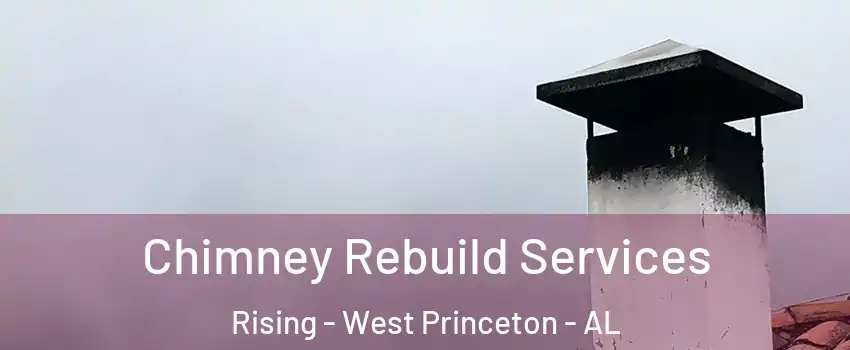 Chimney Rebuild Services Rising - West Princeton - AL
