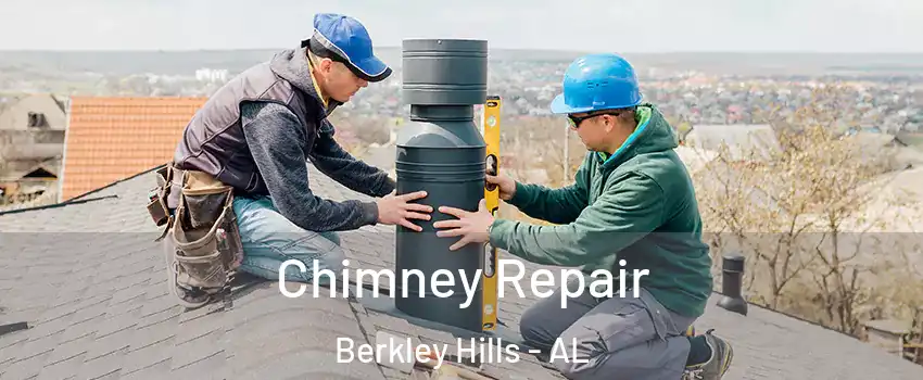 Chimney Repair Berkley Hills - AL
