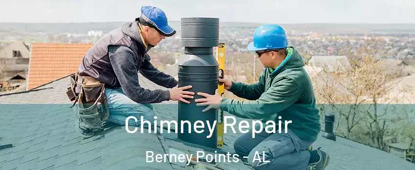 Chimney Repair Berney Points - AL