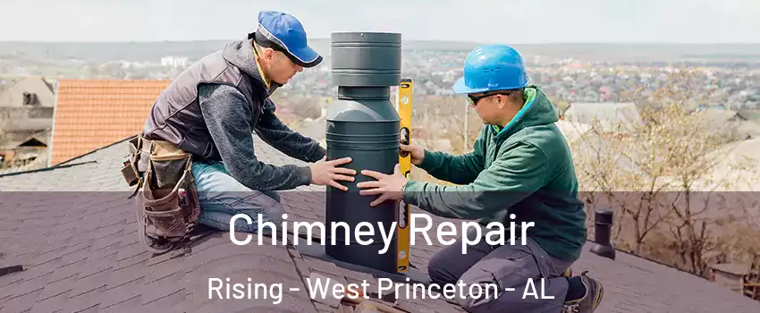 Chimney Repair Rising - West Princeton - AL