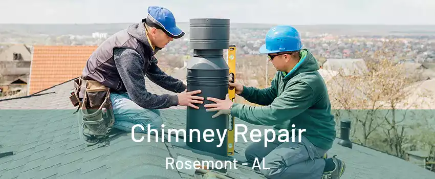 Chimney Repair Rosemont - AL