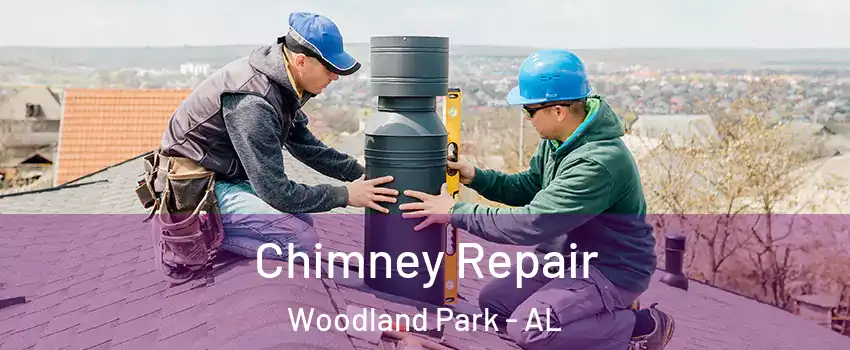 Chimney Repair Woodland Park - AL