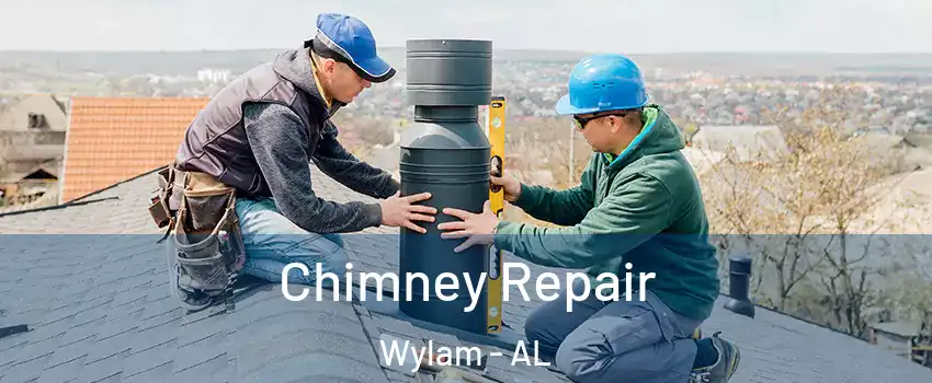 Chimney Repair Wylam - AL