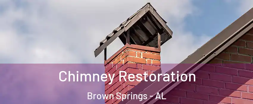 Chimney Restoration Brown Springs - AL