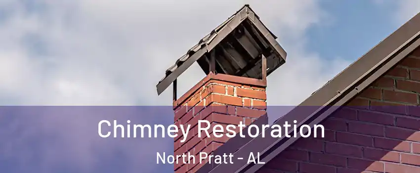 Chimney Restoration North Pratt - AL