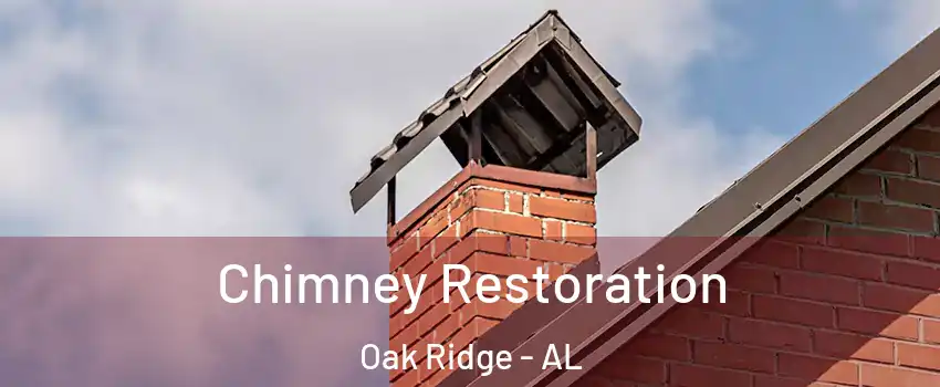 Chimney Restoration Oak Ridge - AL