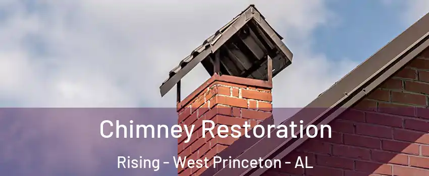Chimney Restoration Rising - West Princeton - AL