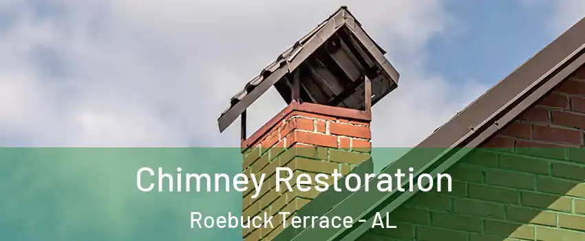 Chimney Restoration Roebuck Terrace - AL
