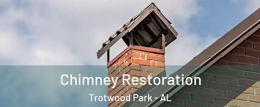 Chimney Restoration Trotwood Park - AL