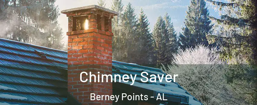 Chimney Saver Berney Points - AL