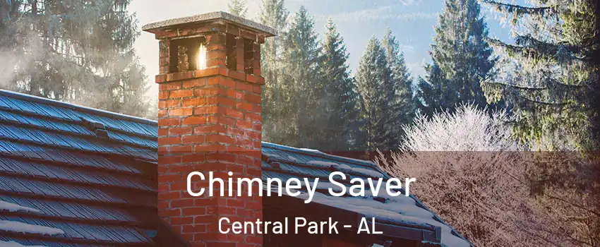 Chimney Saver Central Park - AL