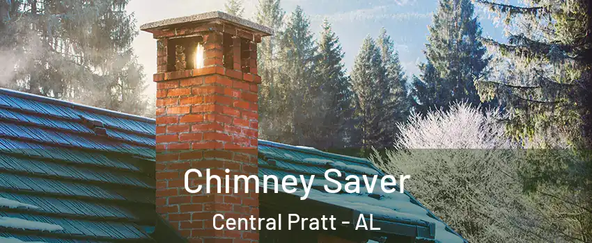Chimney Saver Central Pratt - AL