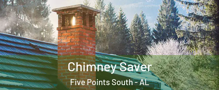 Chimney Saver Five Points South - AL