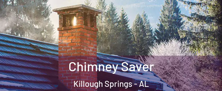 Chimney Saver Killough Springs - AL