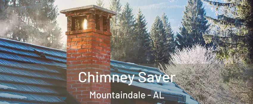 Chimney Saver Mountaindale - AL