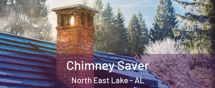 Chimney Saver North East Lake - AL