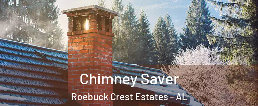 Chimney Saver Roebuck Crest Estates - AL