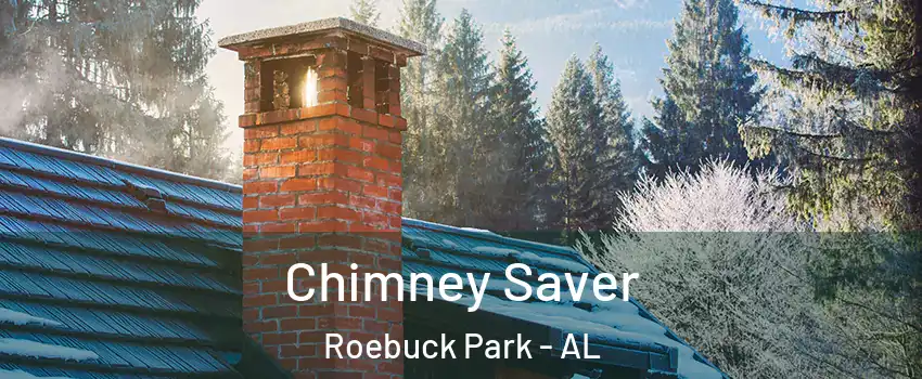 Chimney Saver Roebuck Park - AL