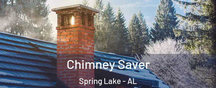 Chimney Saver Spring Lake - AL