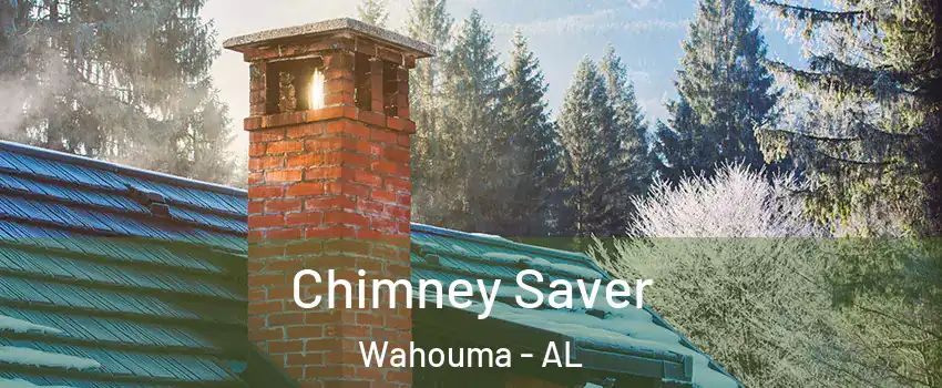 Chimney Saver Wahouma - AL