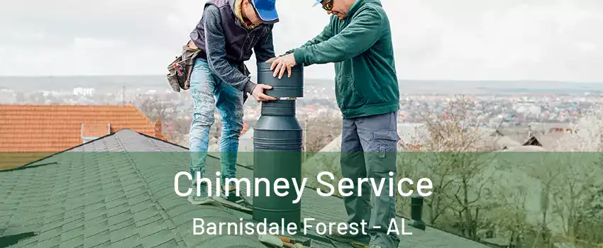 Chimney Service Barnisdale Forest - AL