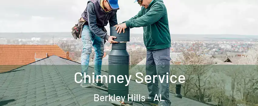 Chimney Service Berkley Hills - AL