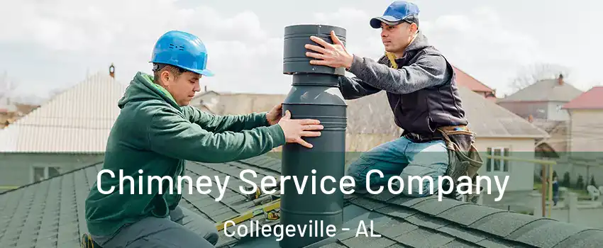 Chimney Service Company Collegeville - AL
