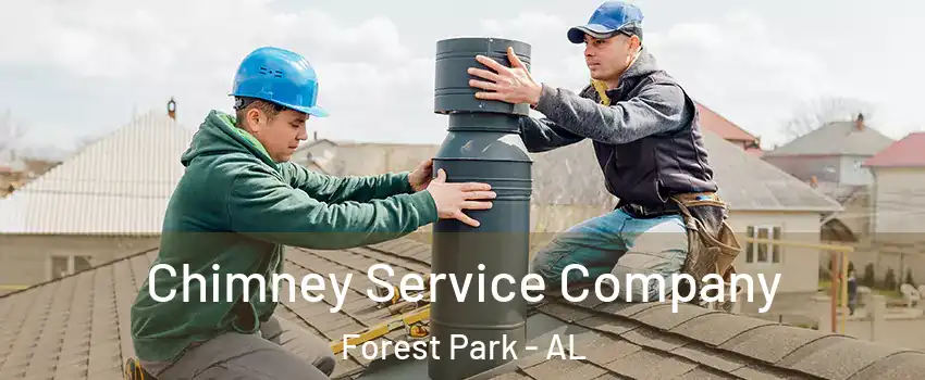 Chimney Service Company Forest Park - AL