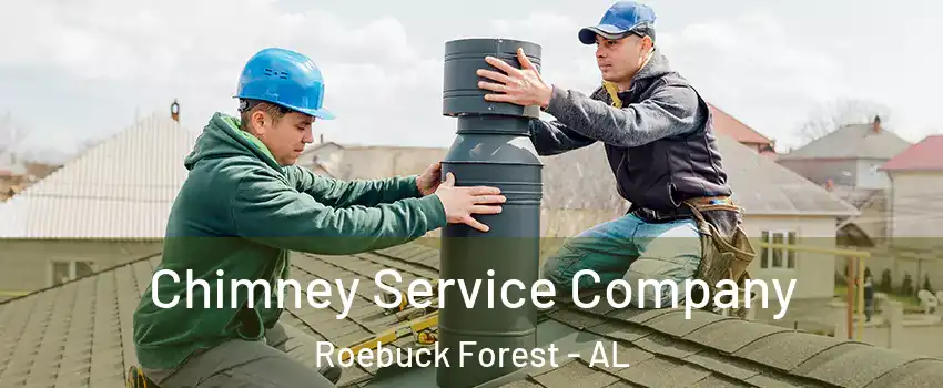 Chimney Service Company Roebuck Forest - AL