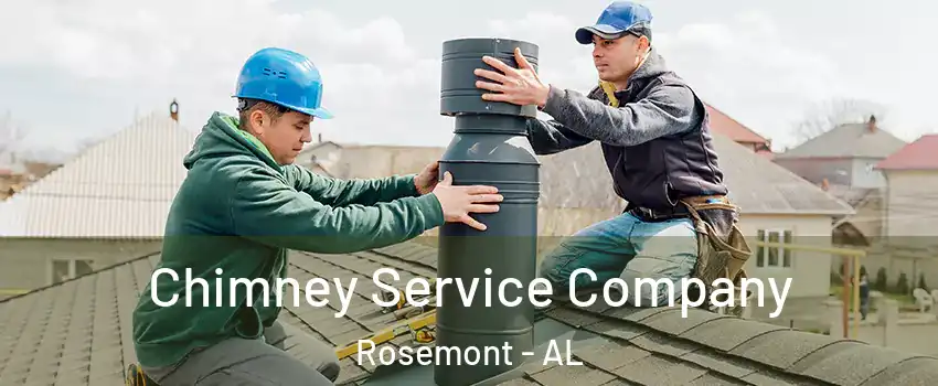 Chimney Service Company Rosemont - AL