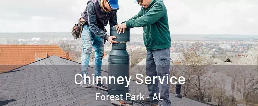 Chimney Service Forest Park - AL