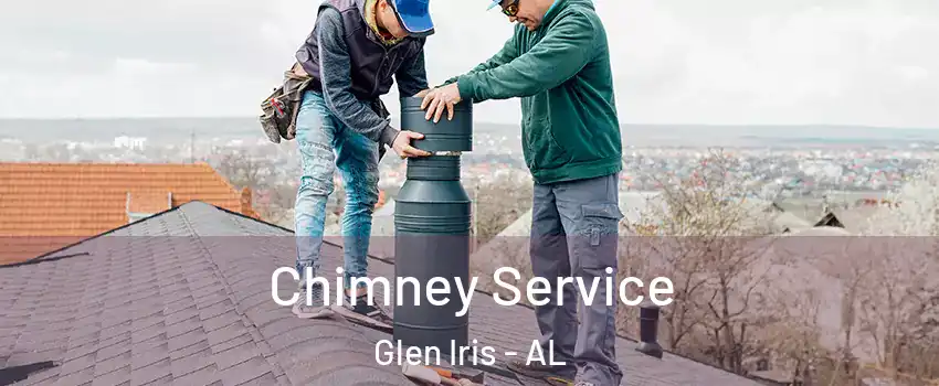 Chimney Service Glen Iris - AL
