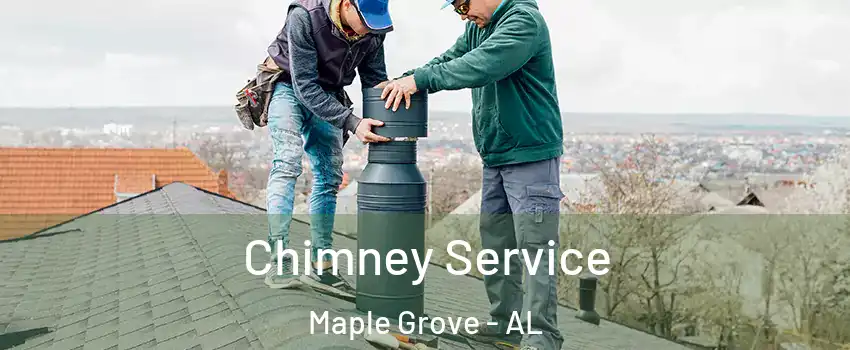 Chimney Service Maple Grove - AL