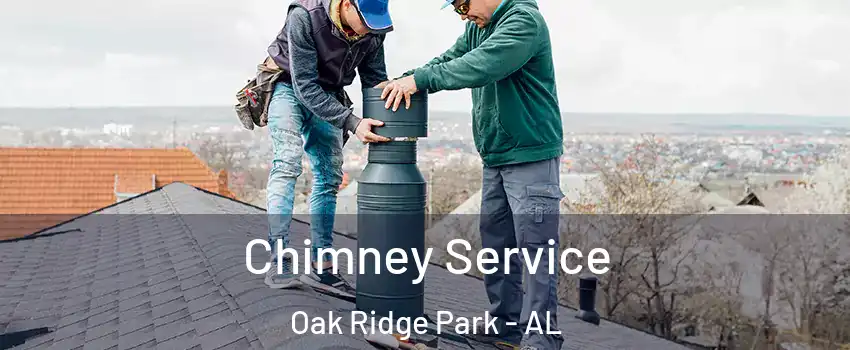 Chimney Service Oak Ridge Park - AL