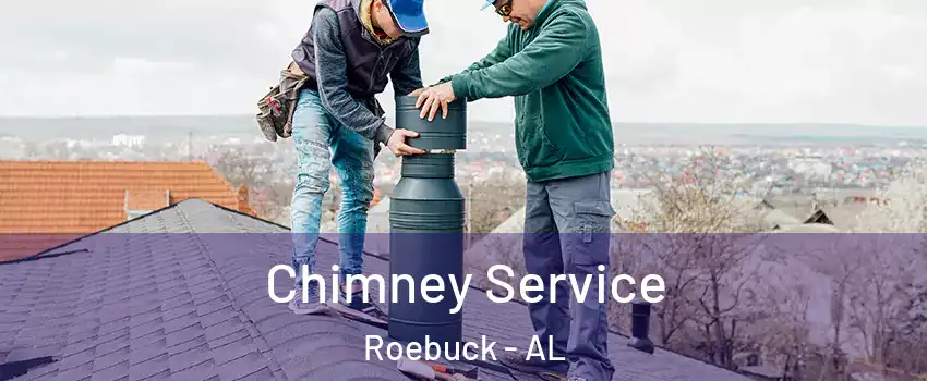 Chimney Service Roebuck - AL