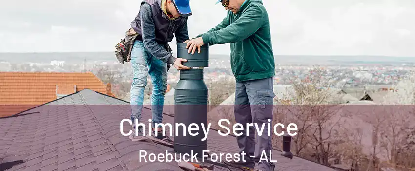 Chimney Service Roebuck Forest - AL