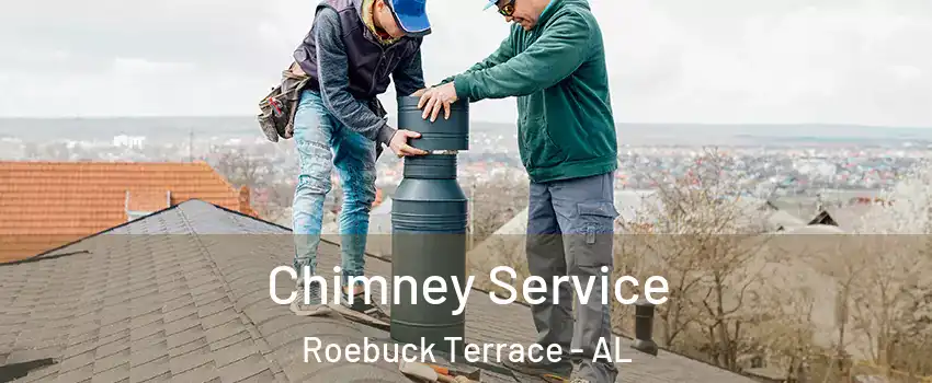 Chimney Service Roebuck Terrace - AL