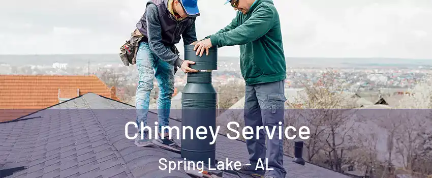 Chimney Service Spring Lake - AL