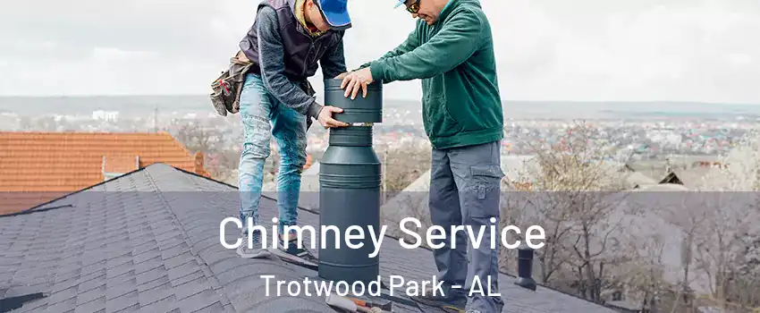 Chimney Service Trotwood Park - AL