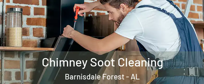 Chimney Soot Cleaning Barnisdale Forest - AL