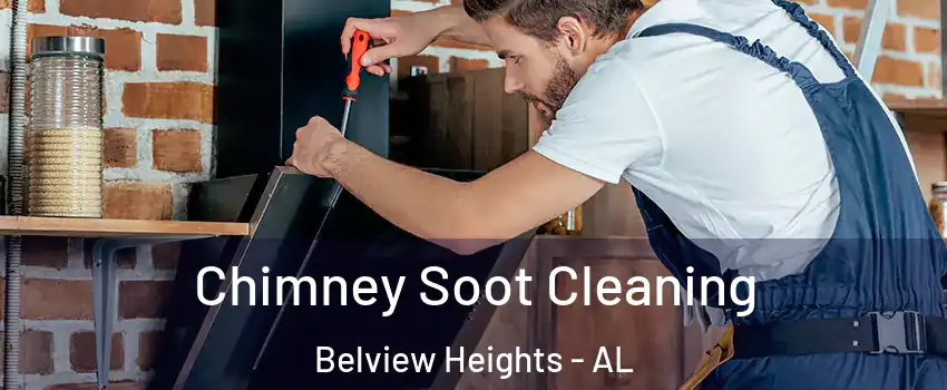 Chimney Soot Cleaning Belview Heights - AL