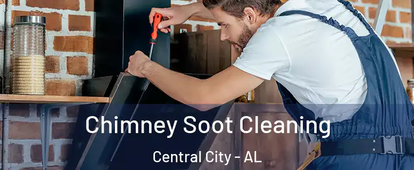 Chimney Soot Cleaning Central City - AL