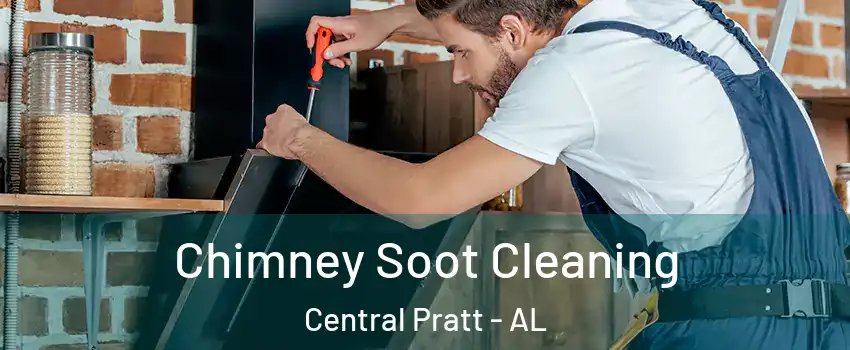 Chimney Soot Cleaning Central Pratt - AL