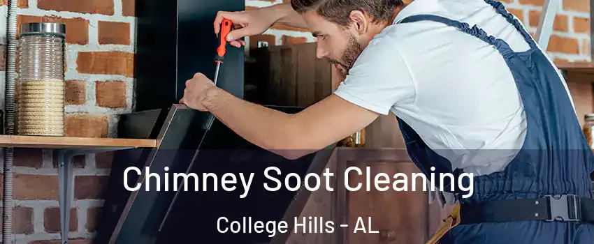 Chimney Soot Cleaning College Hills - AL