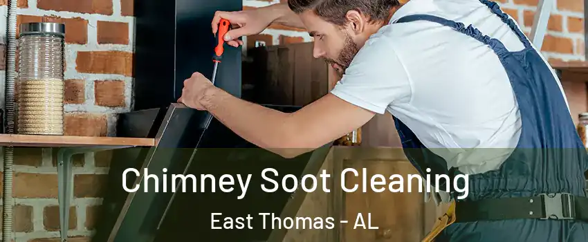 Chimney Soot Cleaning East Thomas - AL