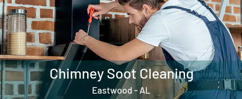 Chimney Soot Cleaning Eastwood - AL