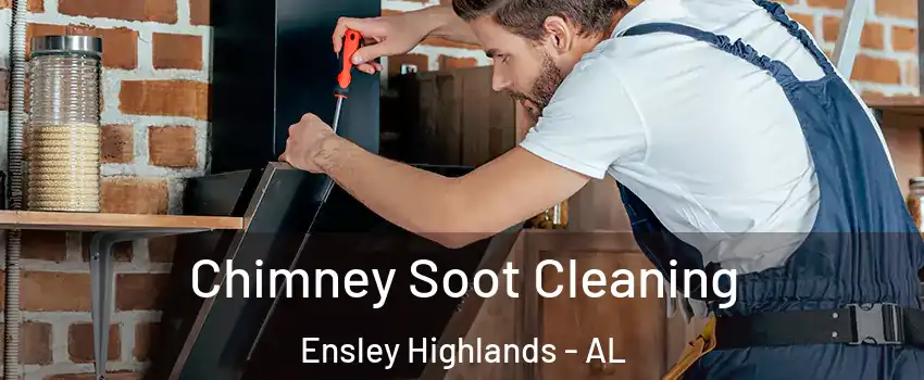 Chimney Soot Cleaning Ensley Highlands - AL