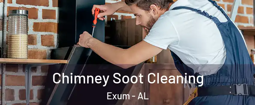 Chimney Soot Cleaning Exum - AL