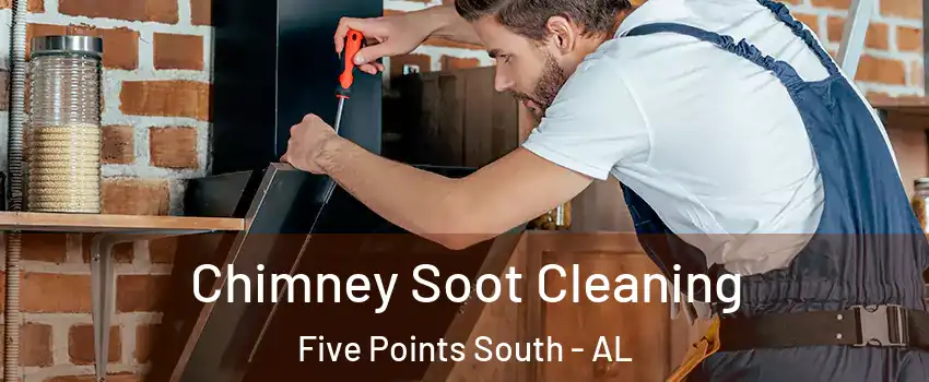 Chimney Soot Cleaning Five Points South - AL